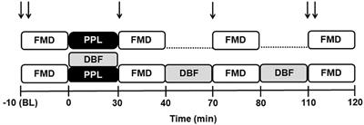 Effects of Postprandial Lipemia Combined With Disturbed Blood Flow on the Flow-Mediated Dilation, Oxidative Stress, and Endothelial Microvesicles in Healthy Subjects